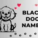 black-dog-names