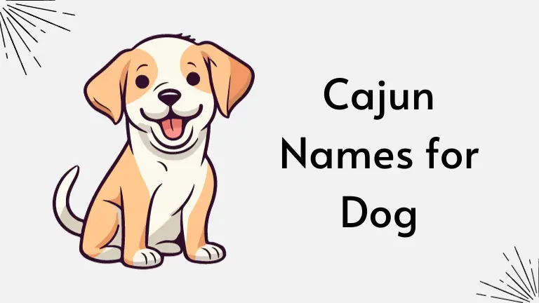 cajun-names-dogs